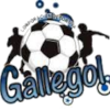 CD Gallegol